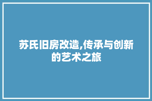 苏氏旧房改造,传承与创新的艺术之旅 综合便民