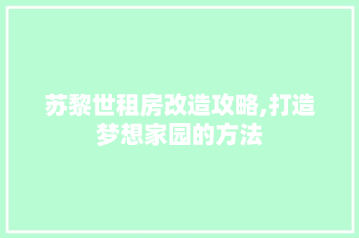 苏黎世租房改造攻略,打造梦想家园的方法