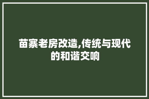 苗寨老房改造,传统与现代的和谐交响