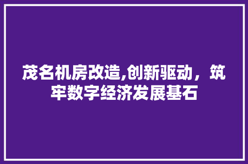 茂名机房改造,创新驱动，筑牢数字经济发展基石 综合便民