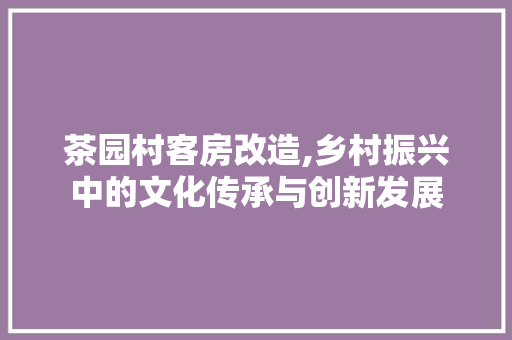 茶园村客房改造,乡村振兴中的文化传承与创新发展