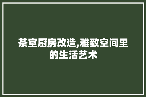 茶室厨房改造,雅致空间里的生活艺术