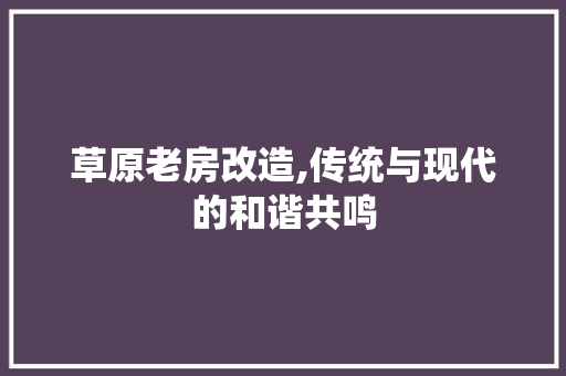 草原老房改造,传统与现代的和谐共鸣