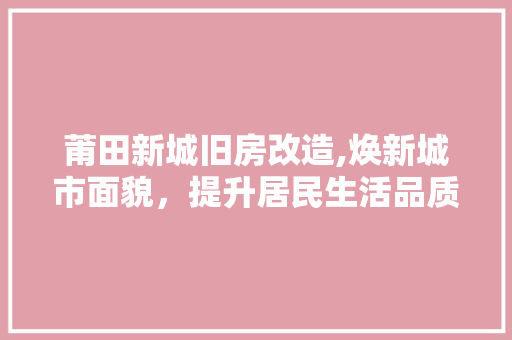 莆田新城旧房改造,焕新城市面貌，提升居民生活品质 厨房维修