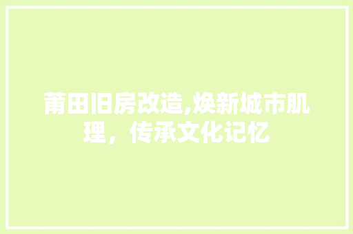 莆田旧房改造,焕新城市肌理，传承文化记忆 厨房维修