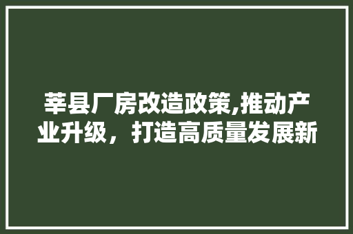 莘县厂房改造政策,推动产业升级，打造高质量发展新引擎