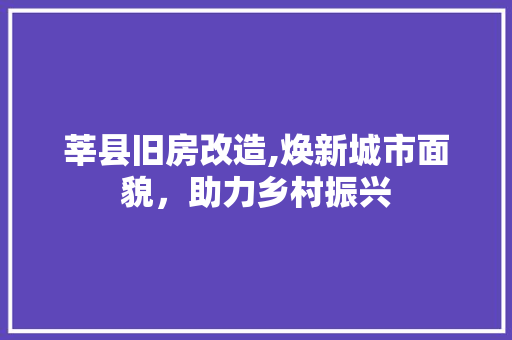 莘县旧房改造,焕新城市面貌，助力乡村振兴 汽车维修