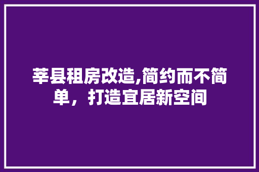 莘县租房改造,简约而不简单，打造宜居新空间