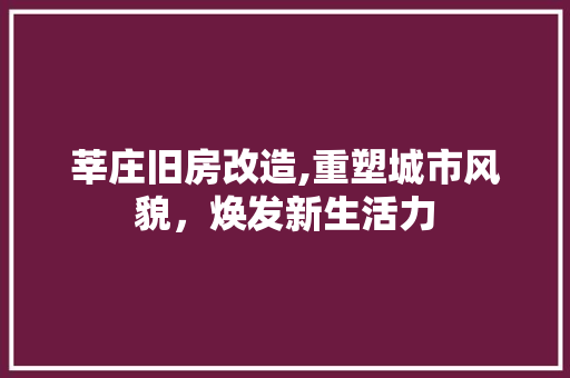 莘庄旧房改造,重塑城市风貌，焕发新生活力