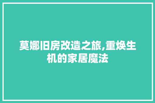 莫娜旧房改造之旅,重焕生机的家居魔法 厨房维修