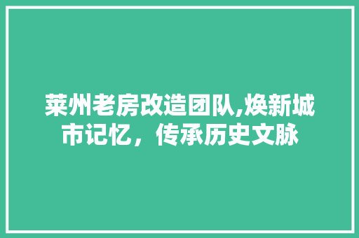 莱州老房改造团队,焕新城市记忆，传承历史文脉