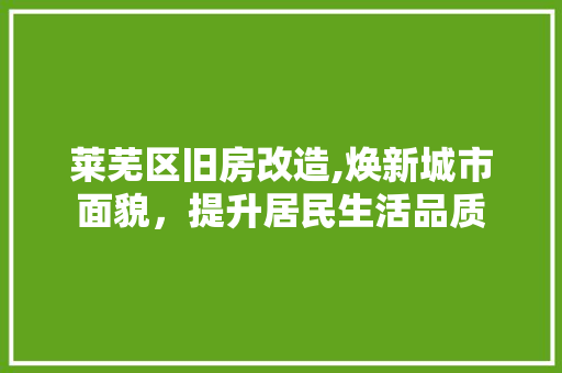 莱芜区旧房改造,焕新城市面貌，提升居民生活品质
