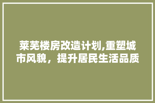 莱芜楼房改造计划,重塑城市风貌，提升居民生活品质