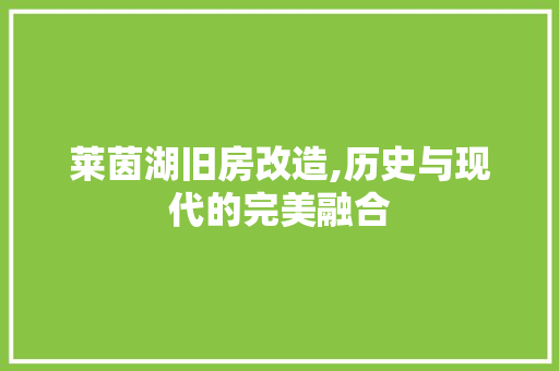 莱茵湖旧房改造,历史与现代的完美融合