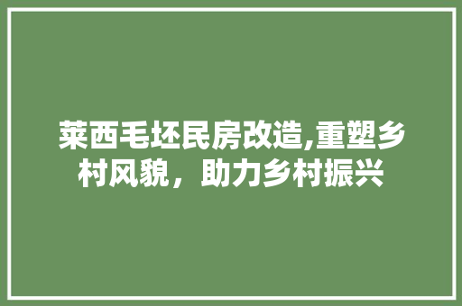 莱西毛坯民房改造,重塑乡村风貌，助力乡村振兴 厨房维修