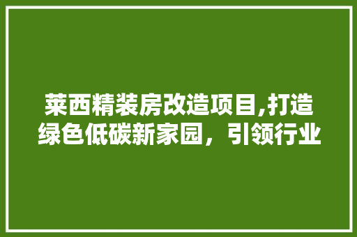 莱西精装房改造项目,打造绿色低碳新家园，引领行业发展新潮流