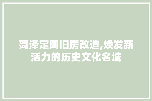 菏泽定陶旧房改造,焕发新活力的历史文化名城 汽车维修