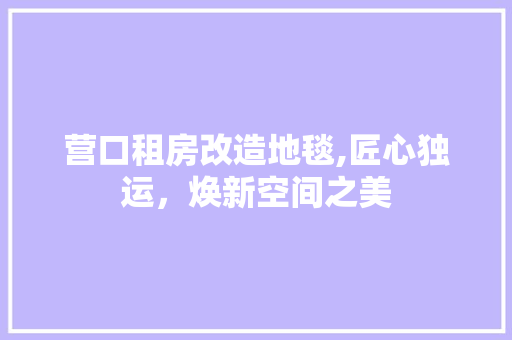 营口租房改造地毯,匠心独运，焕新空间之美