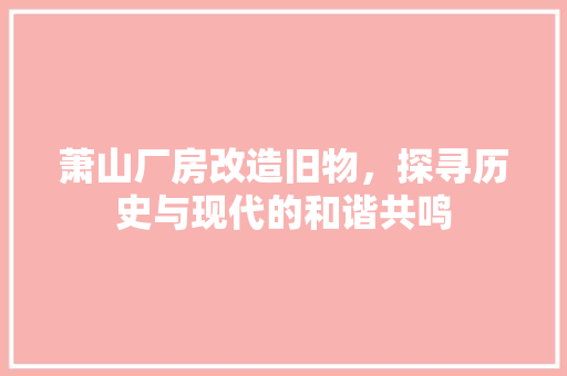 萧山厂房改造旧物，探寻历史与现代的和谐共鸣 墙体维修