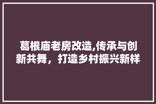 葛根庙老房改造,传承与创新共舞，打造乡村振兴新样板
