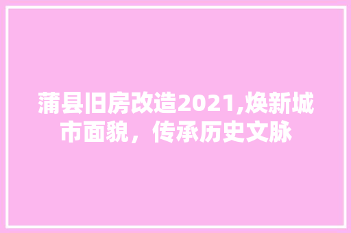 蒲县旧房改造2021,焕新城市面貌，传承历史文脉 家电维修