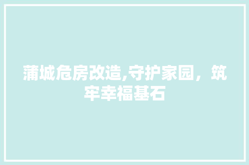 蒲城危房改造,守护家园，筑牢幸福基石