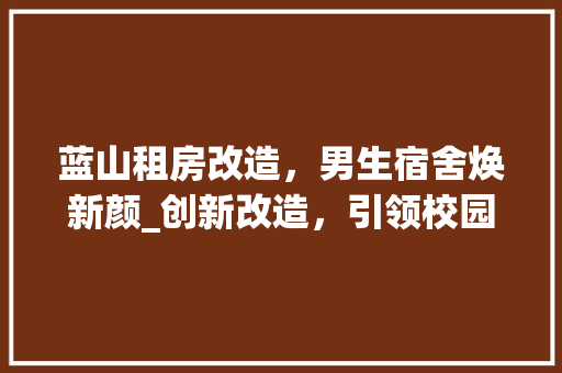 蓝山租房改造，男生宿舍焕新颜_创新改造，引领校园生活新风尚 厨房维修