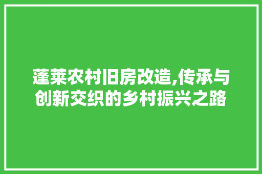 蓬莱农村旧房改造,传承与创新交织的乡村振兴之路