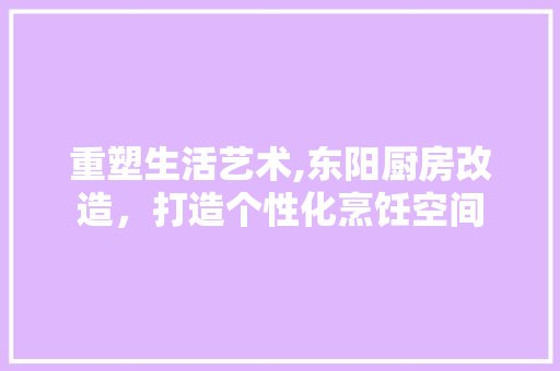 重塑生活艺术,东阳厨房改造，打造个性化烹饪空间
