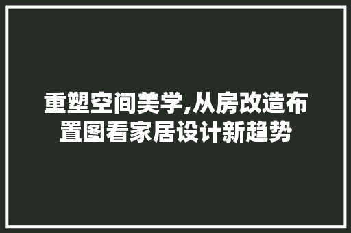 重塑空间美学,从房改造布置图看家居设计新趋势