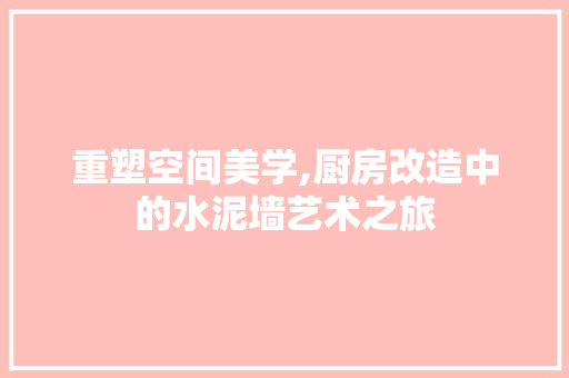 重塑空间美学,厨房改造中的水泥墙艺术之旅