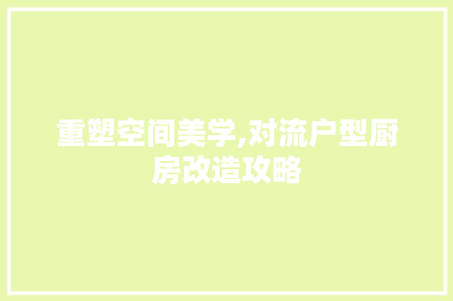 重塑空间美学,对流户型厨房改造攻略