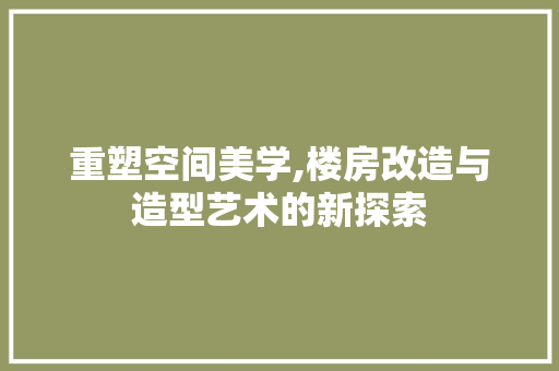重塑空间美学,楼房改造与造型艺术的新探索