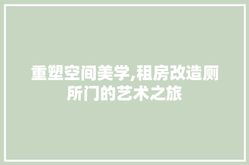 重塑空间美学,租房改造厕所门的艺术之旅