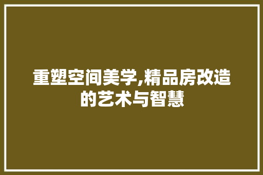 重塑空间美学,精品房改造的艺术与智慧