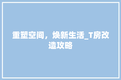 重塑空间，焕新生活_T房改造攻略 厨房维修