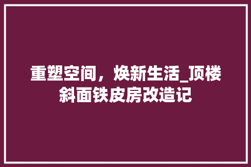 重塑空间，焕新生活_顶楼斜面铁皮房改造记 综合便民
