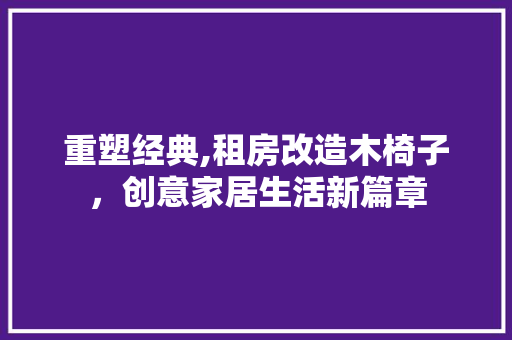 重塑经典,租房改造木椅子，创意家居生活新篇章 墙体维修