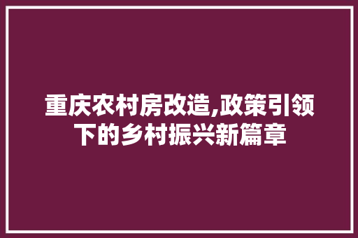 重庆农村房改造,政策引领下的乡村振兴新篇章