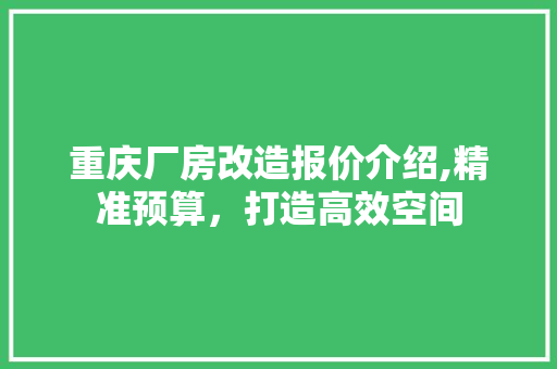重庆厂房改造报价介绍,精准预算，打造高效空间