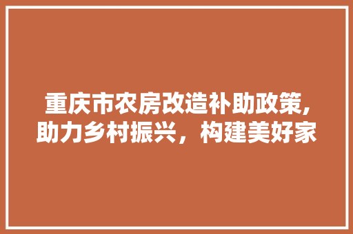 重庆市农房改造补助政策,助力乡村振兴，构建美好家园