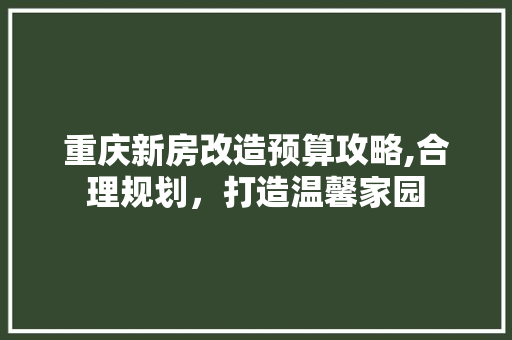 重庆新房改造预算攻略,合理规划，打造温馨家园