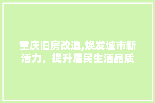 重庆旧房改造,焕发城市新活力，提升居民生活品质 综合便民
