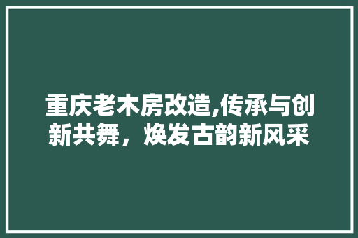 重庆老木房改造,传承与创新共舞，焕发古韵新风采 综合便民