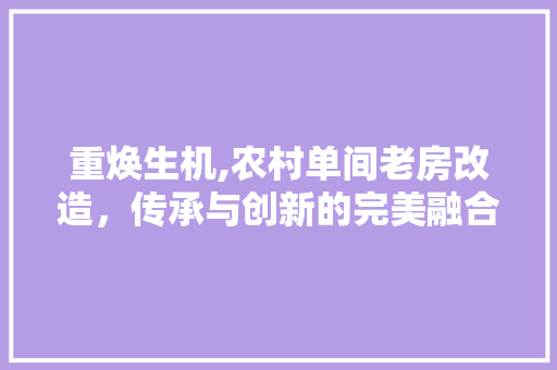 重焕生机,农村单间老房改造，传承与创新的完美融合