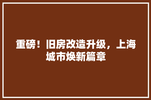 重磅！旧房改造升级，上海城市焕新篇章