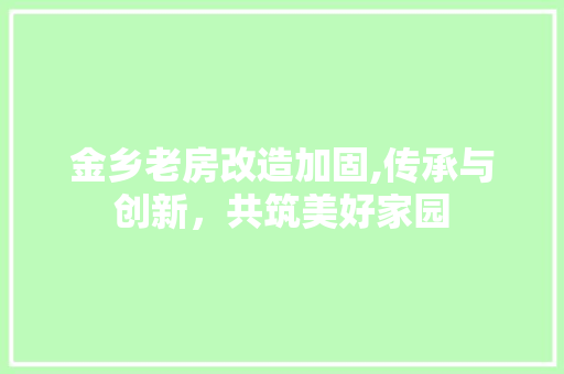 金乡老房改造加固,传承与创新，共筑美好家园 综合便民