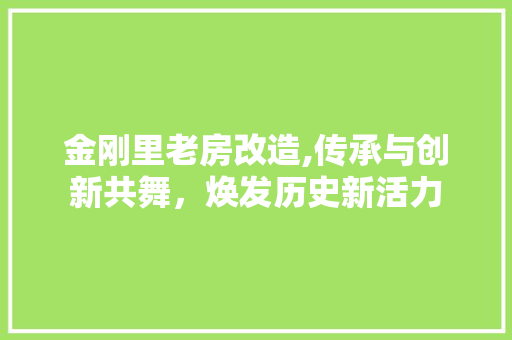 金刚里老房改造,传承与创新共舞，焕发历史新活力 综合便民