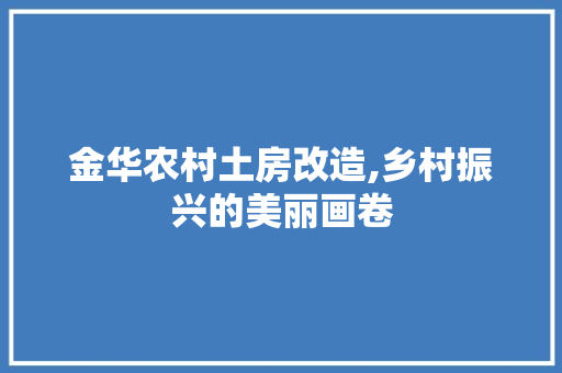 金华农村土房改造,乡村振兴的美丽画卷 家电维修