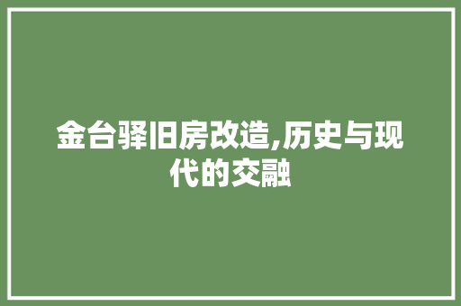 金台驿旧房改造,历史与现代的交融 厨房维修